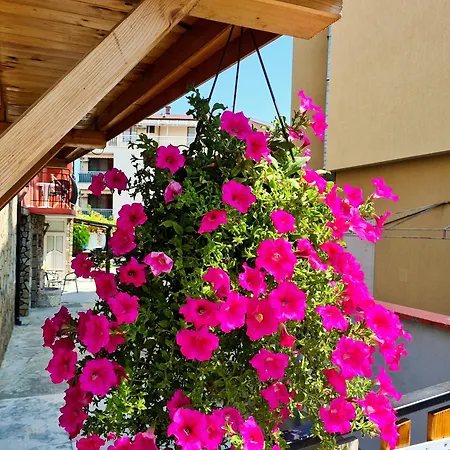 Sineva 招待所 拉夫达