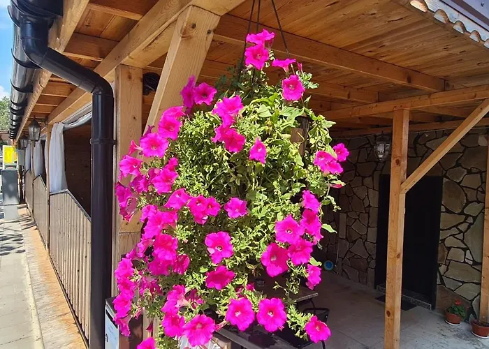 Sineva Maison d'hôtes