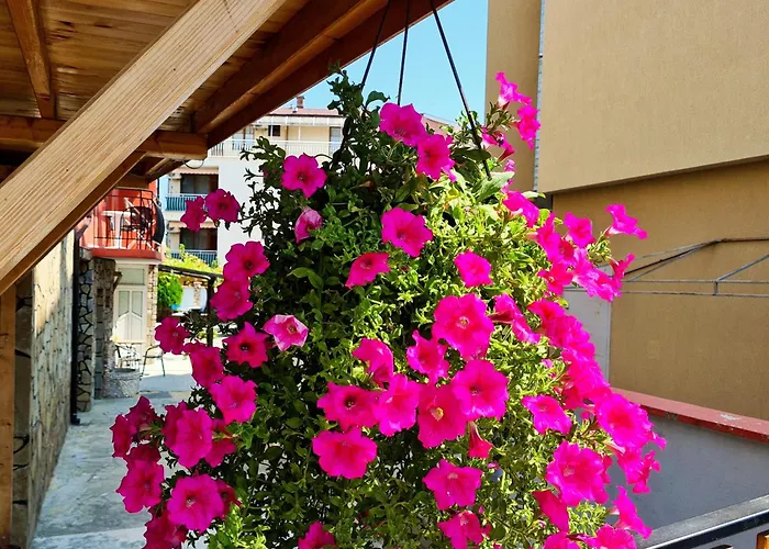 Sineva Maison d'hôtes Ravda